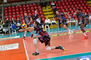Colaci