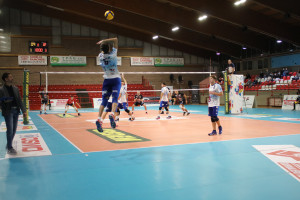 Servizio Genovesio