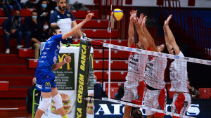 Gallo vs muro a tre