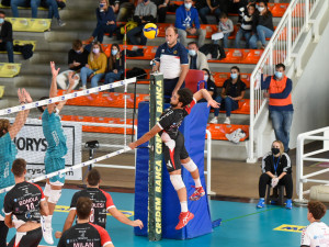attacco di silvestre