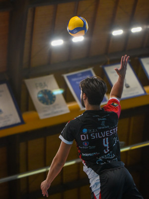 Attacco di silvestre