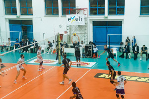 Azione Galatina