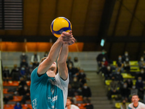 Bagher Hanzic