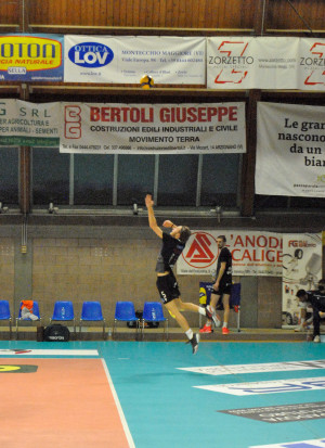 Battuta Pellicori