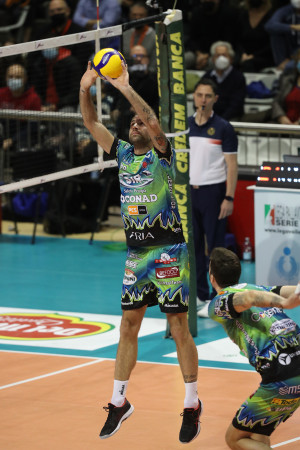 Travica