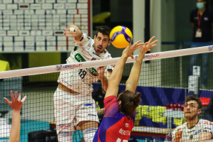 Canella attacca