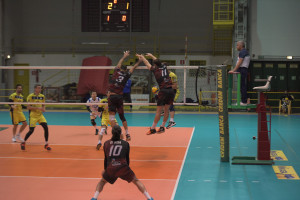 Muro Magalini Porcello