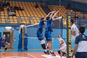 Torino_Pineto_06