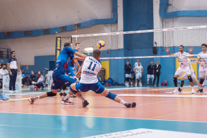 Torino_Pineto_07