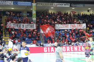 Tifosi Lube