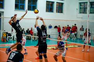 Pepe - Latorre