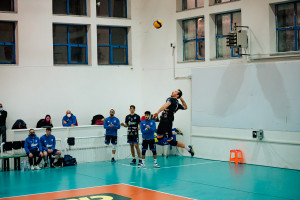 Servizio Lotito