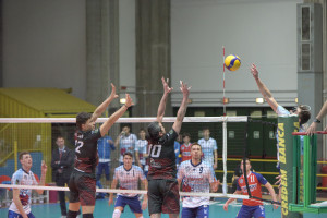 Muro Magalini Porcello