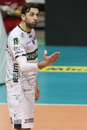 Vitelli