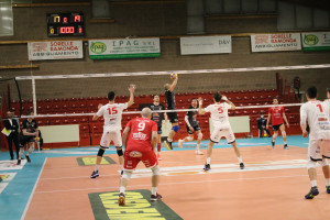 Alzata Monopoli