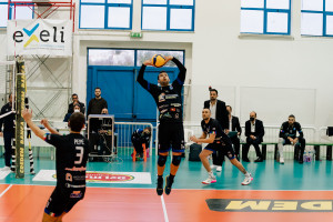 Latorre palleggio