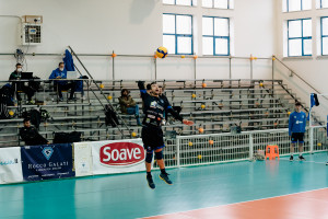 Latorre servizio