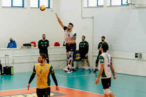 Servizio Palmi