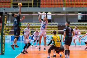Attacco di Soncini