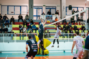 Muro Galatina 