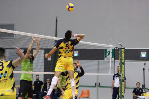 Nicola Sesto