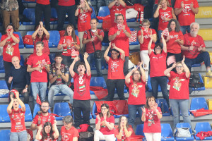Tifosi Lube