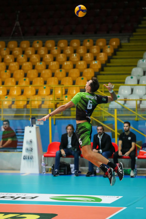 Stefano Giannotti
