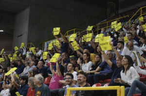 pubblico Verona