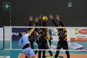 Muro Parma