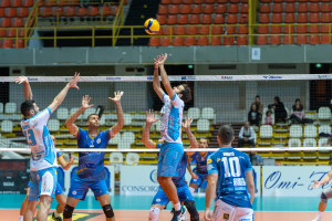 Leone in palleggio