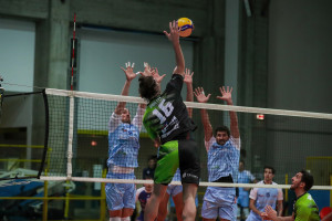 Puliti