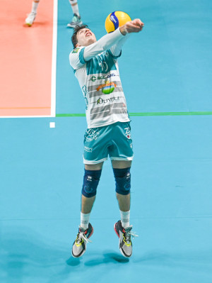 Difesa Alberini