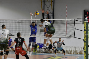 Daniele Albergati