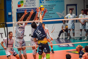 Dalmonte incisivo sotto rete