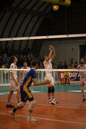 Lugli in alzata