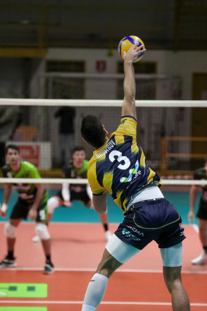 Dimitrov