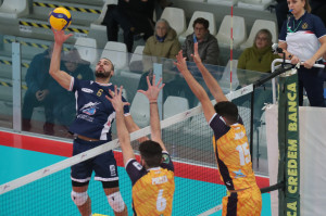 Ngapeth Swan