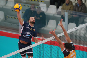 Ngapeth Swan