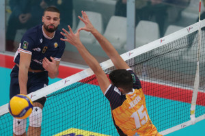 Ngapeth Swan