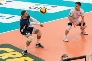 Ngapeth Swan
