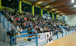 Pubblico Palaprata