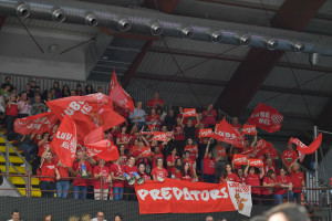 tifosi Lube