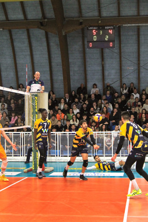 Wimore in campo