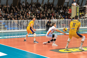 Andrea Angiolini