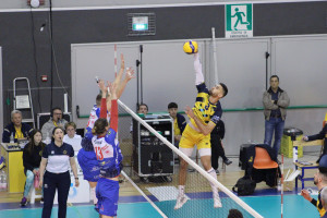Attacco Dimitrov