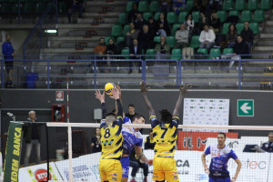 Muro Parma