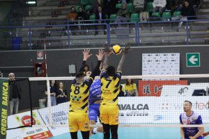 Muro Parma