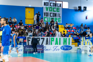 Curva sud