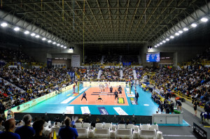 Rana Verona.-