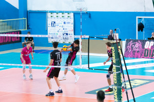 Ricezione Carpita